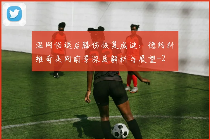 温网伤退后膝伤恢复成谜，德约科维奇美网前景深度解析与展望