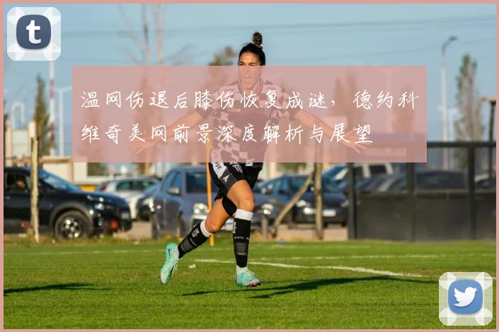 温网伤退后膝伤恢复成谜，德约科维奇美网前景深度解析与展望